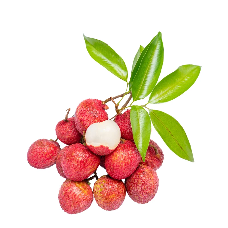 Vegetable Slicer Fruite Vegetable Shred machine Vegetable dicer machine Multi-function Vegetable Cutter 1500W Big Mouth
Vegetable Slicer Fruite Vegetable Shred machine Vegetable dicer machine Multi-function Vegetable Cutter 1500W Big Mouth