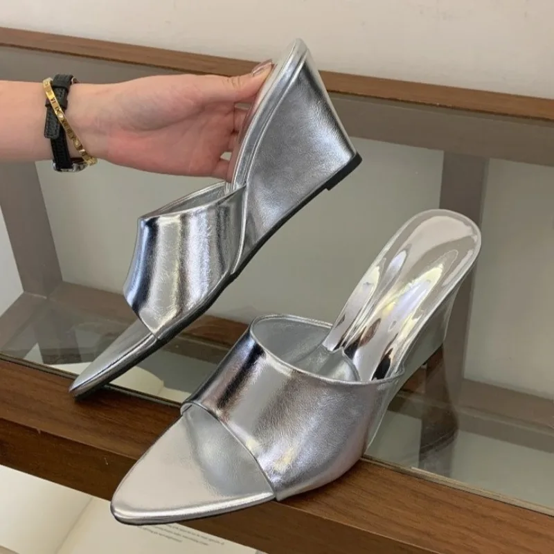 Aneikeh Fashion Silver Women Wedge Heel Mules Pointed Toe Slip on Slippers Elegant Summer Party Shoes for Ladies Size 35-39
Aneikeh Fashion Silver Women Wedge Heel Mules Pointed Toe Slip on Slippers Elegant Summer Party Shoes for Ladies Size 35-39