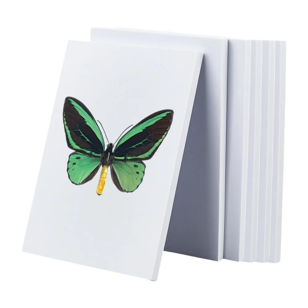 6 шт. пенопластовая бумага Eva Craft толщиной 10 мм, доска для фиксации пены EVA, белые листы из пенопласта EVA, доска для разбрасывания образцов для ловли насекомых
6 шт. пенопластовая бумага Eva Craft толщиной 10 мм, доска для фиксации пены EVA, белые листы из пенопласта EVA, доска для разбрасывания образцов для ловли насекомых