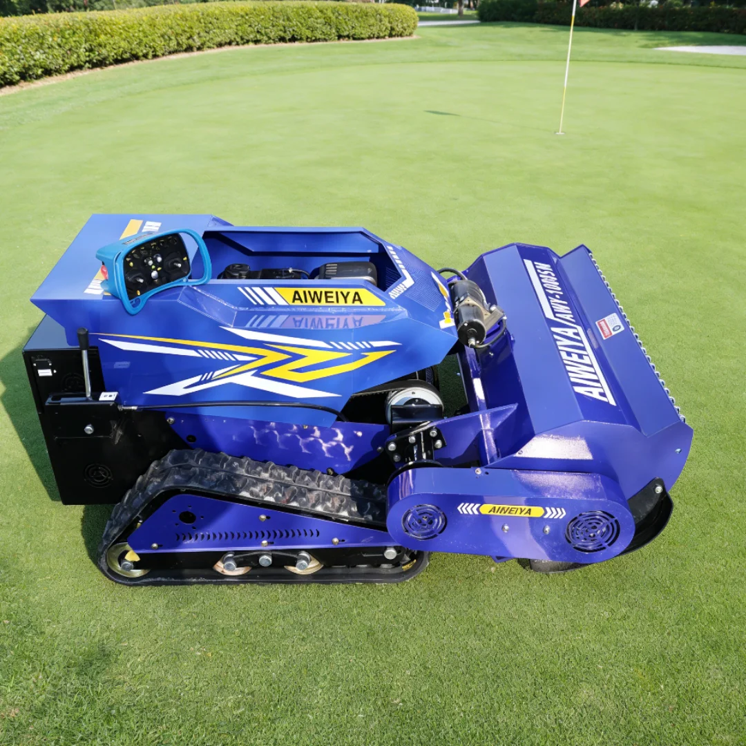 Газонокосилка с дистанционным управлением для сада по индивидуальному заказу, робот на батарейках для снега, 4-тактная газонокосилка с дистанционным управлением и толкатель для снега
Газонокосилка с дистанционным управлением для сада по индивидуальному заказу, робот на батарейках для снега, 4-тактная газонокосилка с дистанционным управлением и толкатель для снега