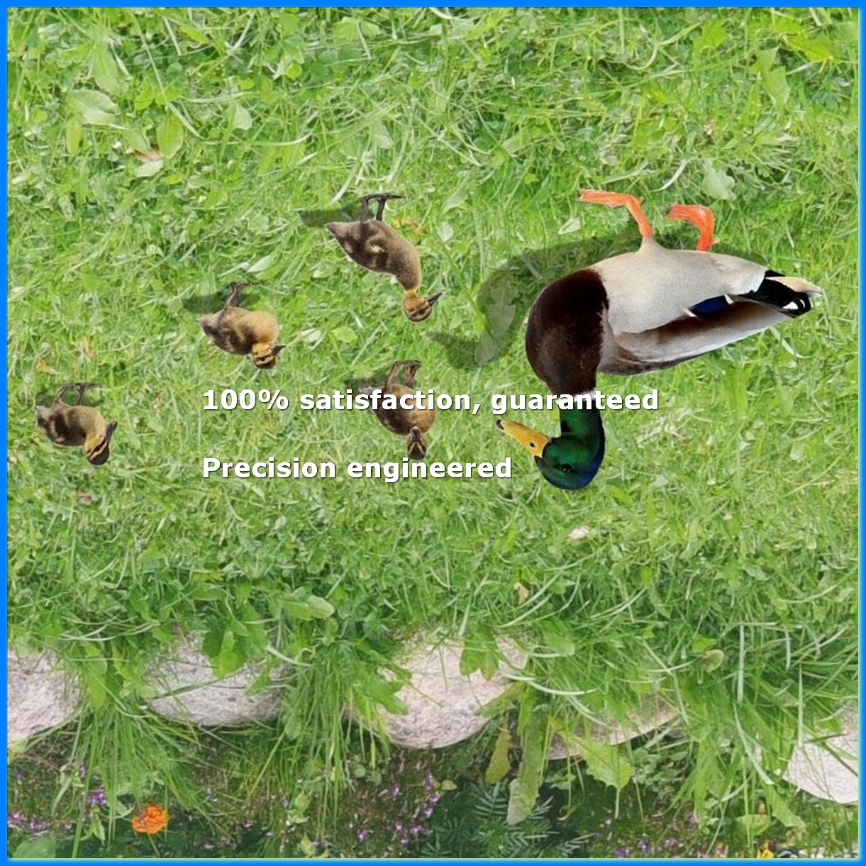 Garden Decoration Acrylic Duck Garden Stake Funny Spring Decoration Outdoor Duck Ornament Animal Garden Decorations-FS
Garden Decoration Acrylic Duck Garden Stake Funny Spring Decoration Outdoor Duck Ornament Animal Garden Decorations-FS