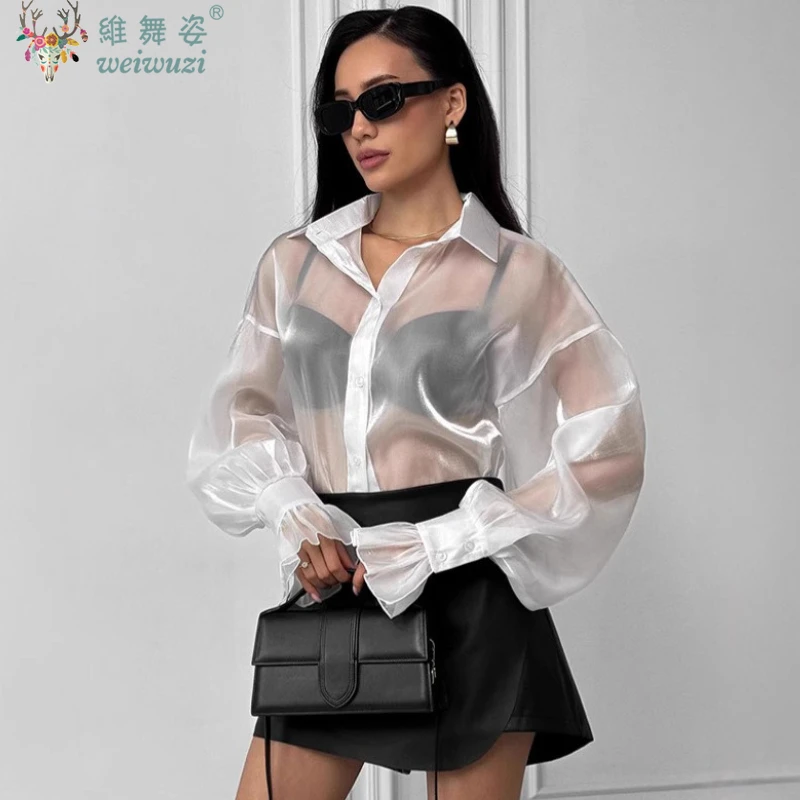 Women's Elegant Solid Shirt Office Long Sleeve Loose Sexy Sheer Blouse for Women Autumn New Causal Breathable Outdoor Outfit Top
Women's Elegant Solid Shirt Office Long Sleeve Loose Sexy Sheer Blouse for Women Autumn New Causal Breathable Outdoor Outfit Top