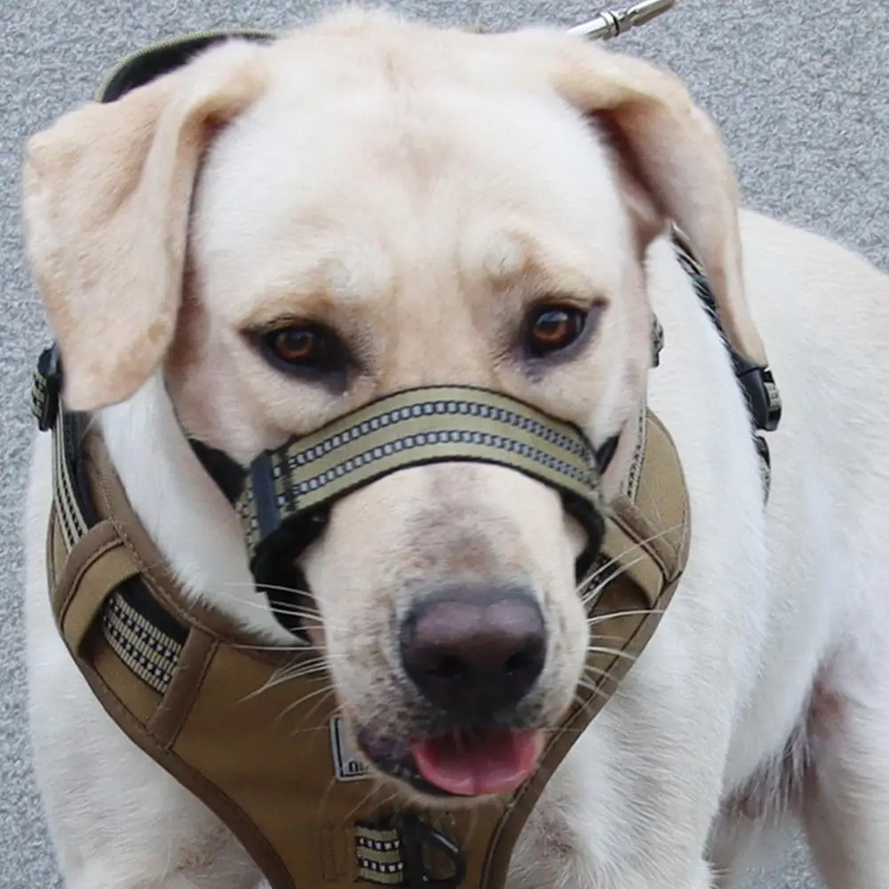 Adjustable Dog Muzzle Durable Dog Muzzle Adjustable Reflective Dog Muzzle Leash Comfortable Halter for Outdoor Walks with Soft
Adjustable Dog Muzzle Durable Dog Muzzle Adjustable Reflective Dog Muzzle Leash Comfortable Halter for Outdoor Walks with Soft
