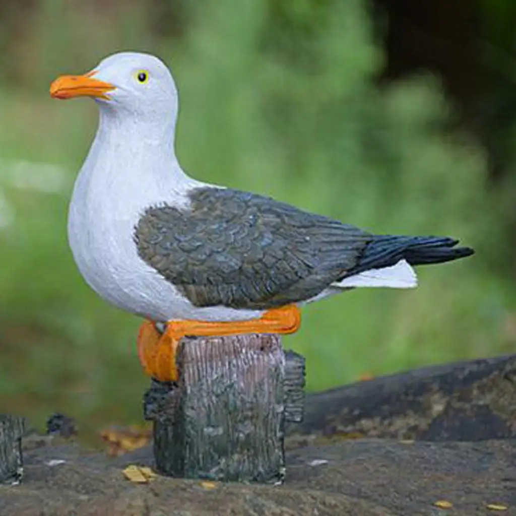 Resin Seagull Garden Ornament Realistic Outdoor Sculpture Decorative Bird Figure for Yard Landscape Decor
Resin Seagull Garden Ornament Realistic Outdoor Sculpture Decorative Bird Figure for Yard Landscape Decor