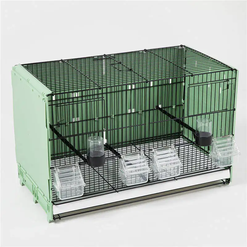 Classic Modern Iron Breathable Flight Cage with Divider-Breeding Aviary for Parakeets Lovebirds & Canaries
Classic Modern Iron Breathable Flight Cage with Divider-Breeding Aviary for Parakeets Lovebirds & Canaries