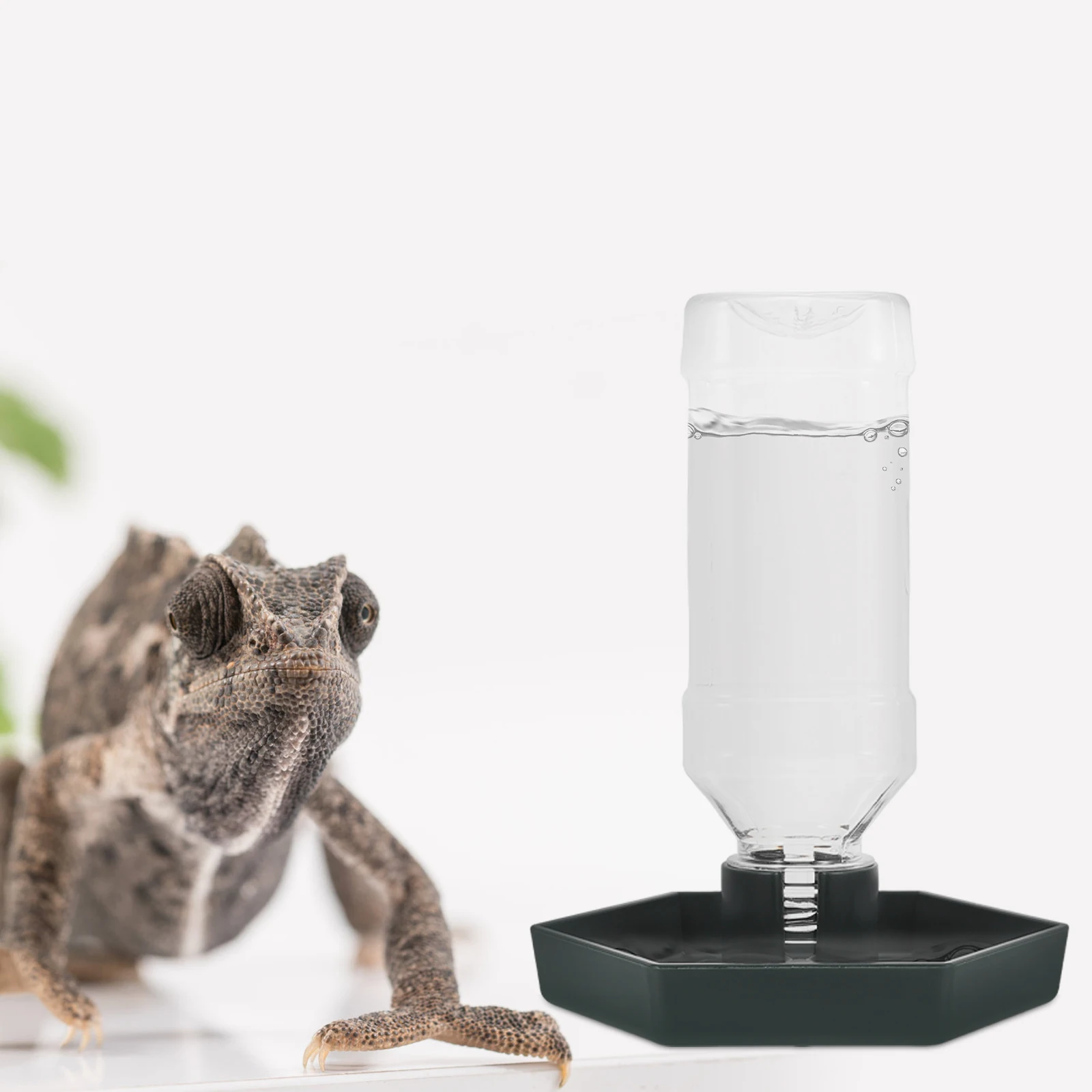 Automatic Reptile Water Dispenser Durable Abs Dish For Tortoise Lizard Turtle Pet Feeding Bowl Compact Floor Standing Reusable
Automatic Reptile Water Dispenser Durable Abs Dish For Tortoise Lizard Turtle Pet Feeding Bowl Compact Floor Standing Reusable