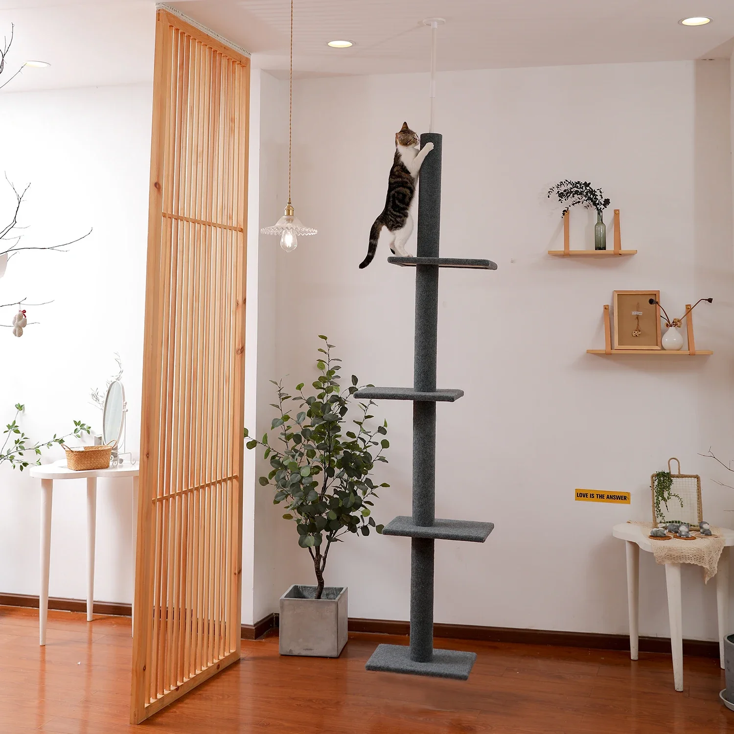 Adjustable Height Cat Tree for Indoor, Floor To Ceiling Cat Tower with Scratching Posts, Cat Scratcher Furniture, Kitten Toys
Adjustable Height Cat Tree for Indoor, Floor To Ceiling Cat Tower with Scratching Posts, Cat Scratcher Furniture, Kitten Toys
