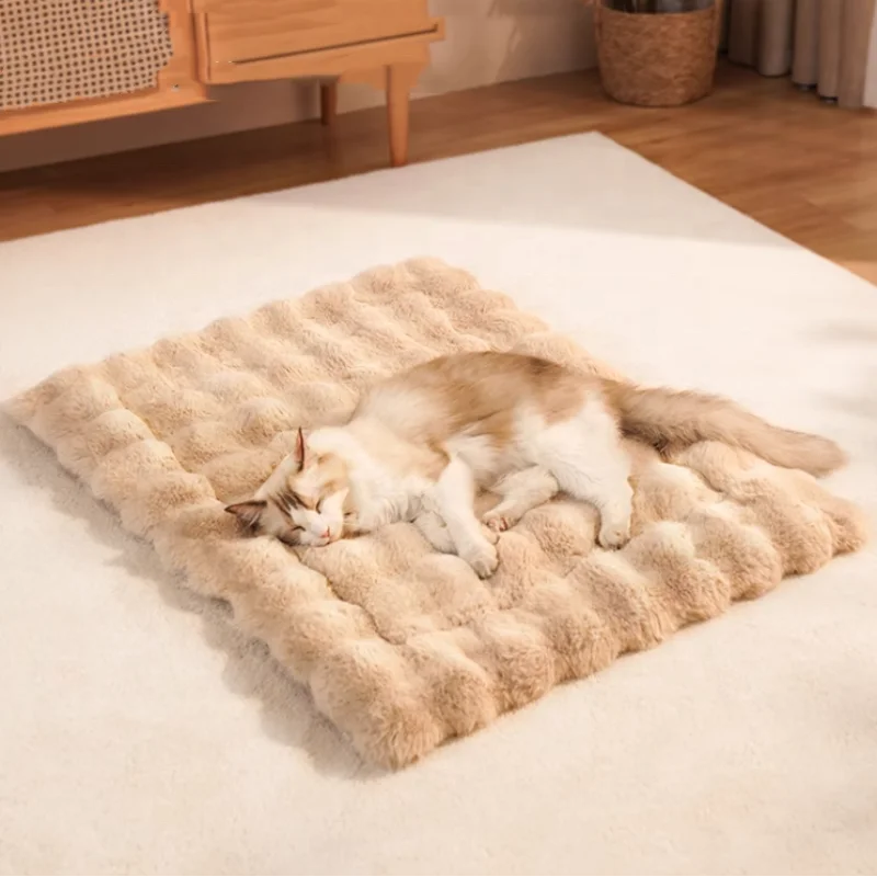 Cat Mat Bed Plush Couch Sleep Pad Pet Winter Beds Pet Cat Floor Pad Soft Sleep Pad for Dog Kitten Soft Sleeping Dog Plush Mat
Cat Mat Bed Plush Couch Sleep Pad Pet Winter Beds Pet Cat Floor Pad Soft Sleep Pad for Dog Kitten Soft Sleeping Dog Plush Mat