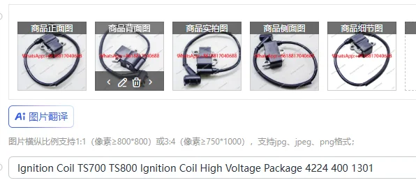 Катушка зажигания TS700 TS800 Катушка зажигания Высоковольтный пакет 4224 400 1301
Катушка зажигания TS700 TS800 Катушка зажигания Высоковольтный пакет 4224 400 1301