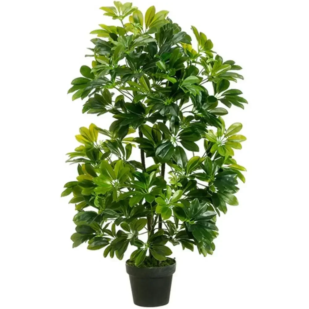 40 Potted Artificial Schelera Palm Tree for Indoor & Outdoor Use
40 Potted Artificial Schelera Palm Tree for Indoor & Outdoor Use