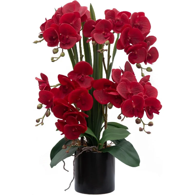 Artificial Orchid Flower Plants Real Touch Faux Orchids in Ceramic Vase 20.9'' Red Phalaenopsis Orchid Fake Flower
Artificial Orchid Flower Plants Real Touch Faux Orchids in Ceramic Vase 20.9'' Red Phalaenopsis Orchid Fake Flower