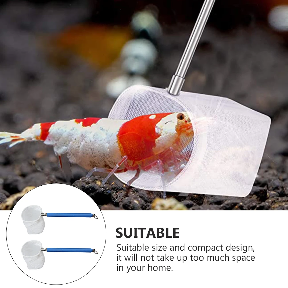2pcs Shrimp Tank Dip Aquarium Durable Aquarium Accessories Dip Fishing Net For Fish Net Fishing
2pcs Shrimp Tank Dip Aquarium Durable Aquarium Accessories Dip Fishing Net For Fish Net Fishing