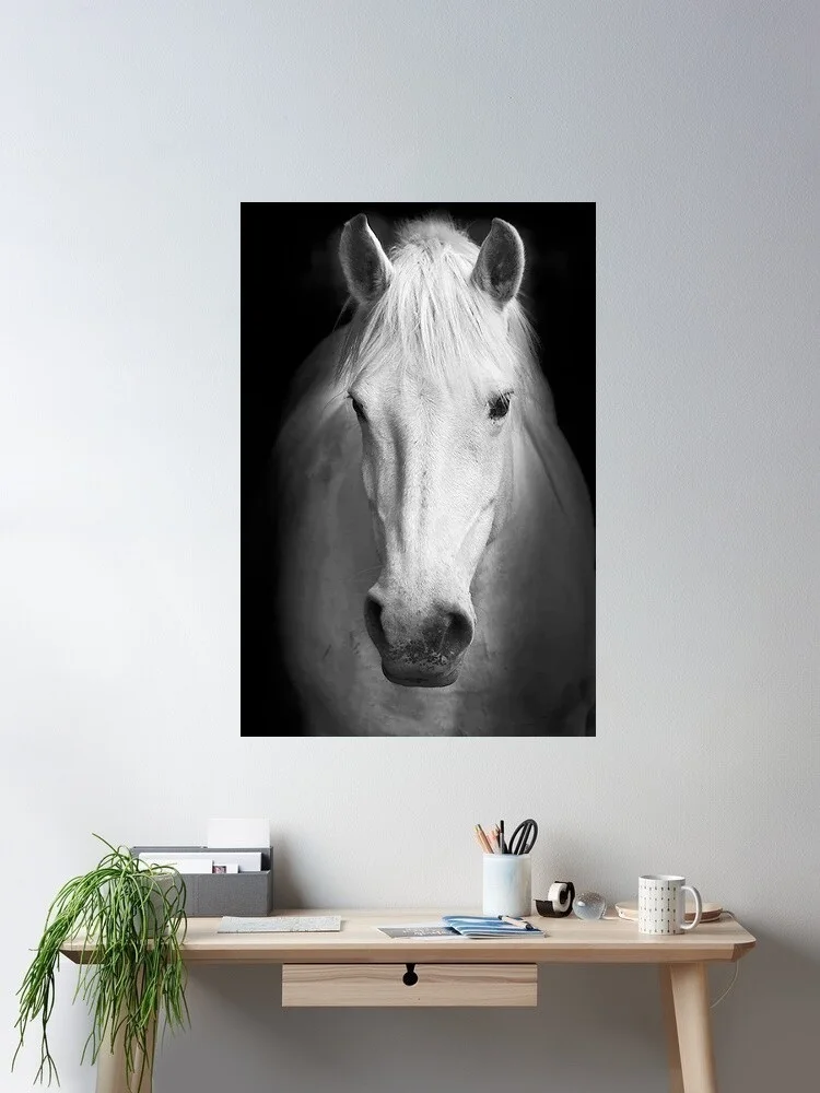 8Style Modern Animals Horse Black and White Horse, Art Print Silk Poster Home Wall Decor
8Style Modern Animals Horse Black and White Horse, Art Print Silk Poster Home Wall Decor