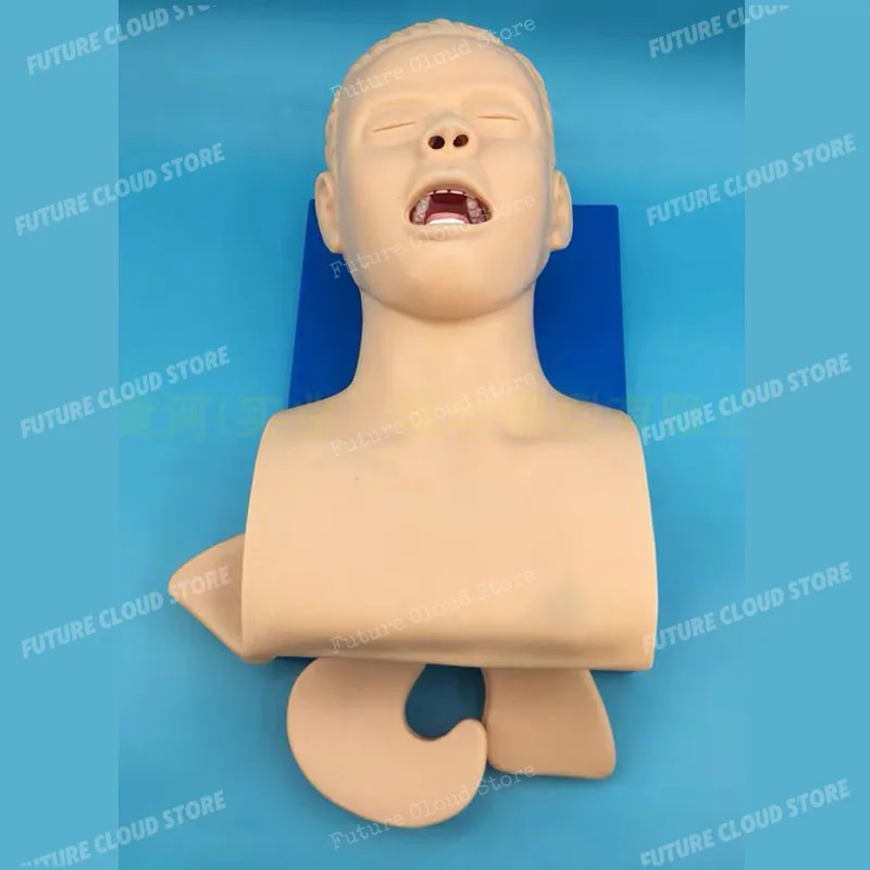 New airway management trainer PVC alarm simulation learning model, teaching model, intubation mannequin, with teeth
New airway management trainer PVC alarm simulation learning model, teaching model, intubation mannequin, with teeth