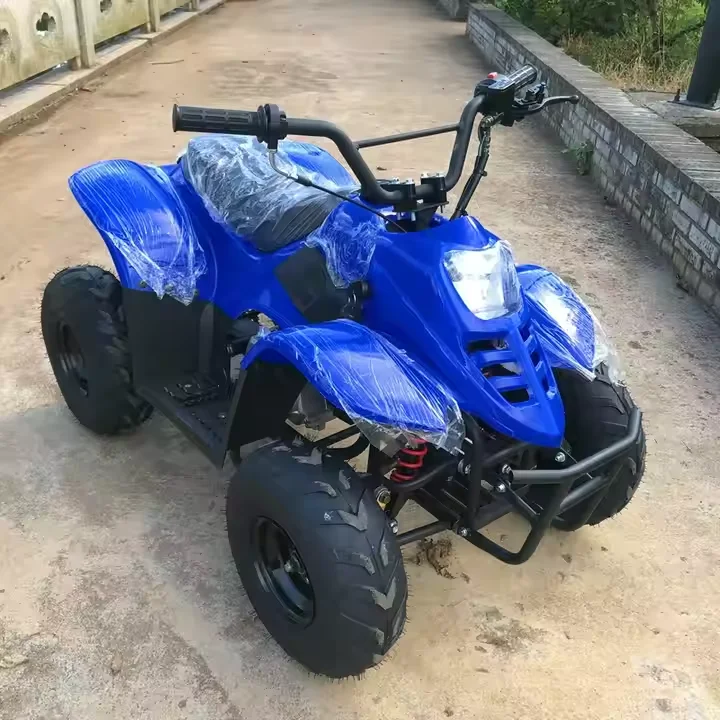110cc Automatic 4 Stroke 1 Cylinder Air-Cooled ATV 4WD 4 Wheeler with Chain Drive Transmission
110cc Automatic 4 Stroke 1 Cylinder Air-Cooled ATV 4WD 4 Wheeler with Chain Drive Transmission
