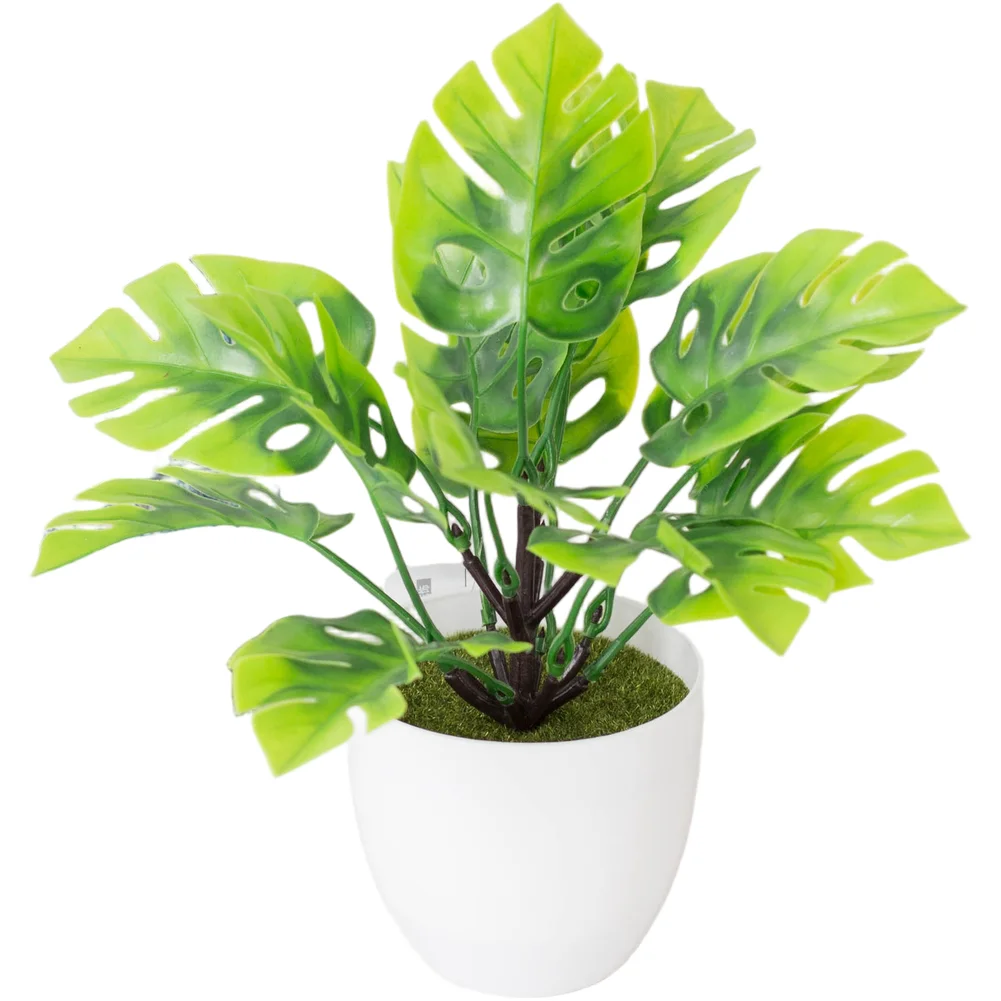 Home Office Decoration 17*21cm Artificial Green Plant Home Decoration Indoor Spaces Enhancement Low-Maintenance
Home Office Decoration 17*21cm Artificial Green Plant Home Decoration Indoor Spaces Enhancement Low-Maintenance