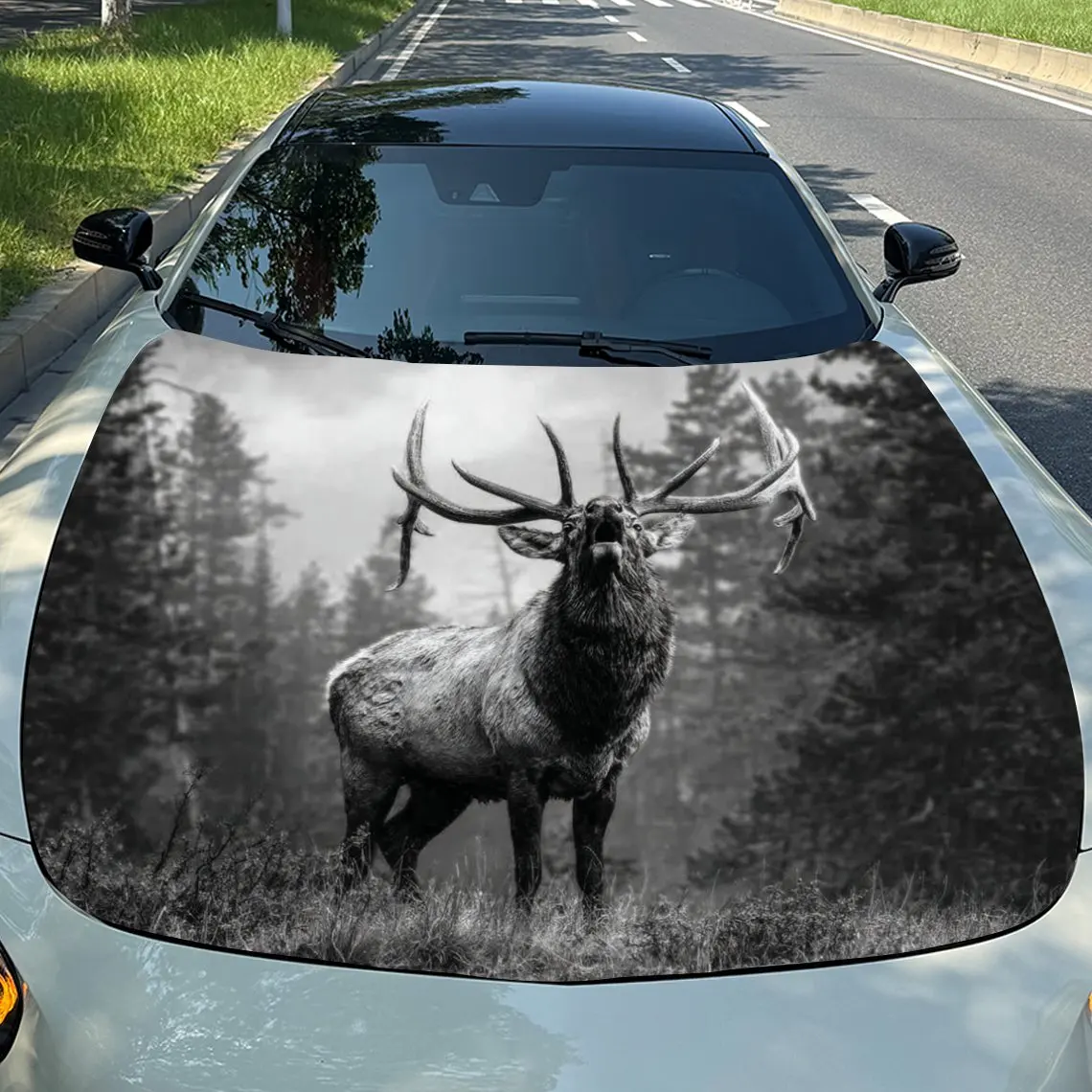 Forest Elk Car Hood Sticker, Durable PVC Vinyl Film Suitable For Most Vehicles, Hood Protection Film Gift, Car Parts | Realistic
Forest Elk Car Hood Sticker, Durable PVC Vinyl Film Suitable For Most Vehicles, Hood Protection Film Gift, Car Parts | Realistic