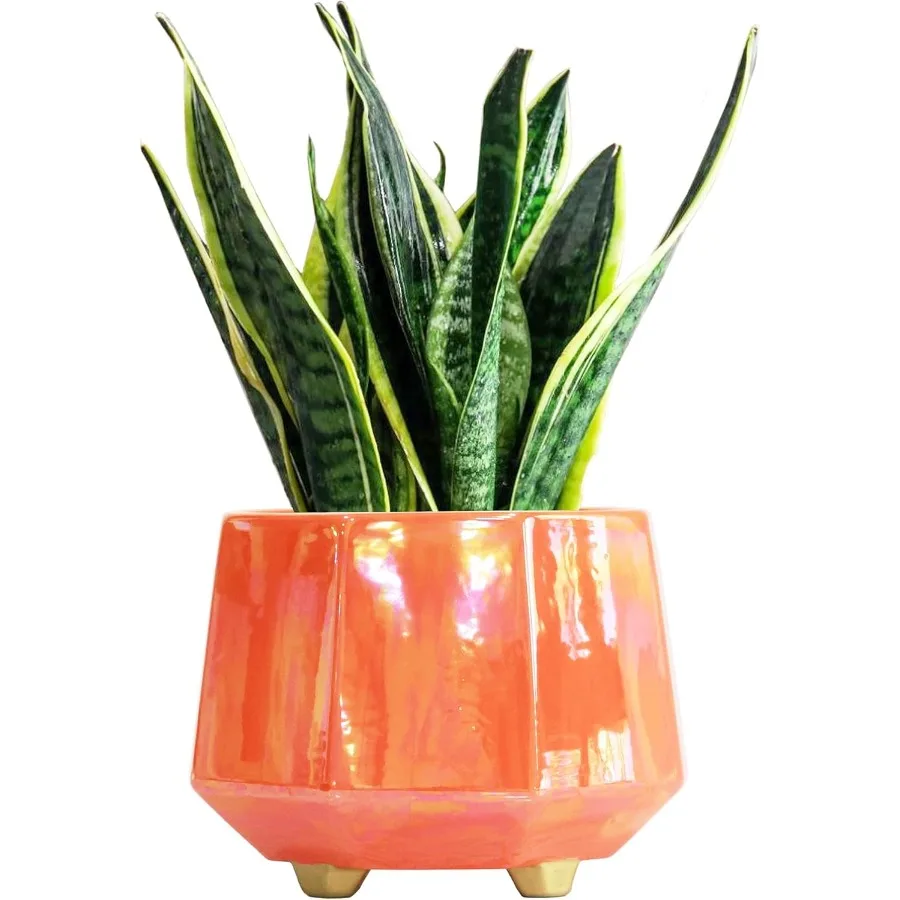 8 Inch Ceramic Planter for Indoor Plants - Plant Pots with Drainage Holes - Modern Minimalist Flower Pot for Succulents and Her
8 Inch Ceramic Planter for Indoor Plants - Plant Pots with Drainage Holes - Modern Minimalist Flower Pot for Succulents and Her