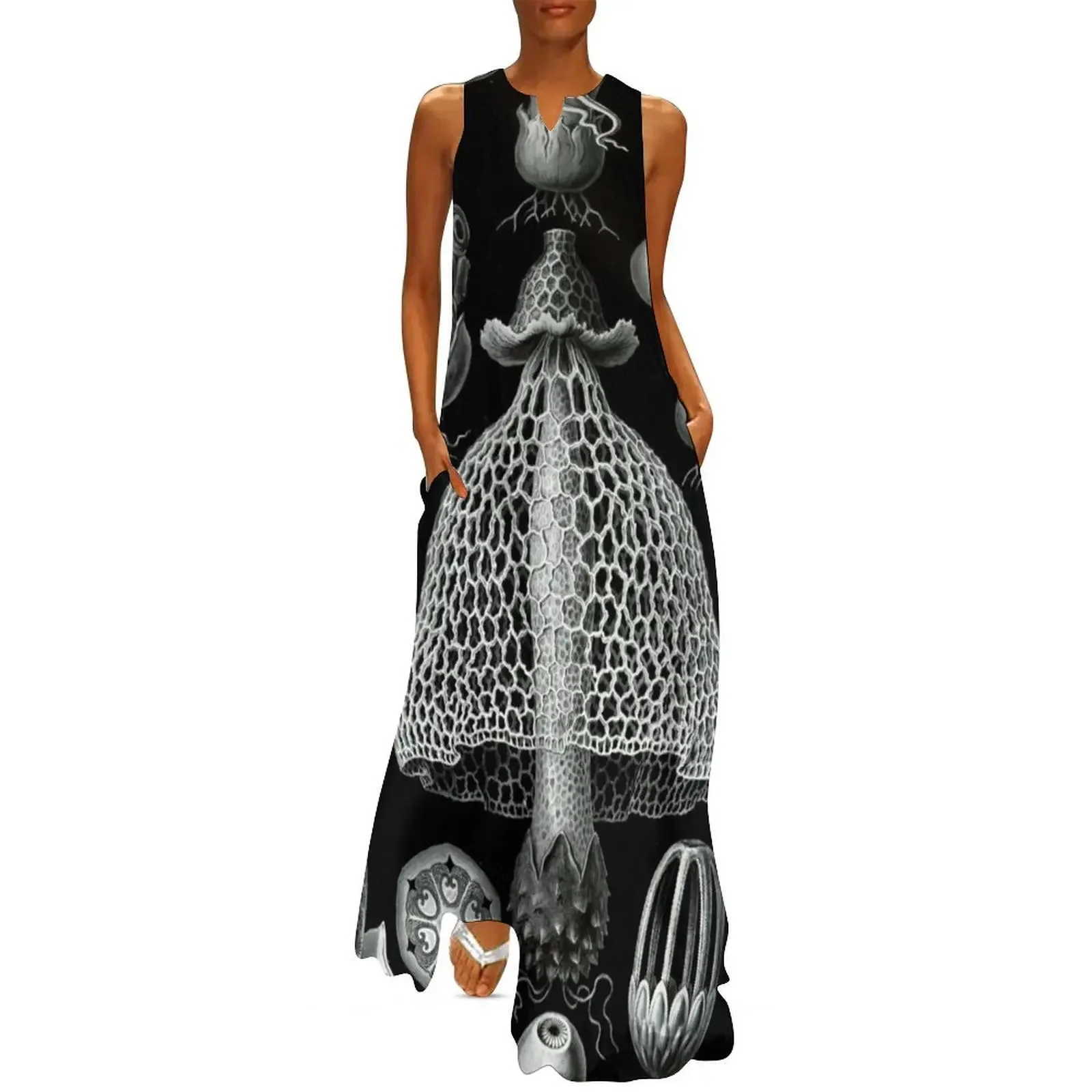 Haeckel Aspidonia Drawing Long Dress dresses for women 2025 luxury dresses Dress 
Haeckel Aspidonia Drawing Long Dress dresses for women 2025 luxury dresses Dress