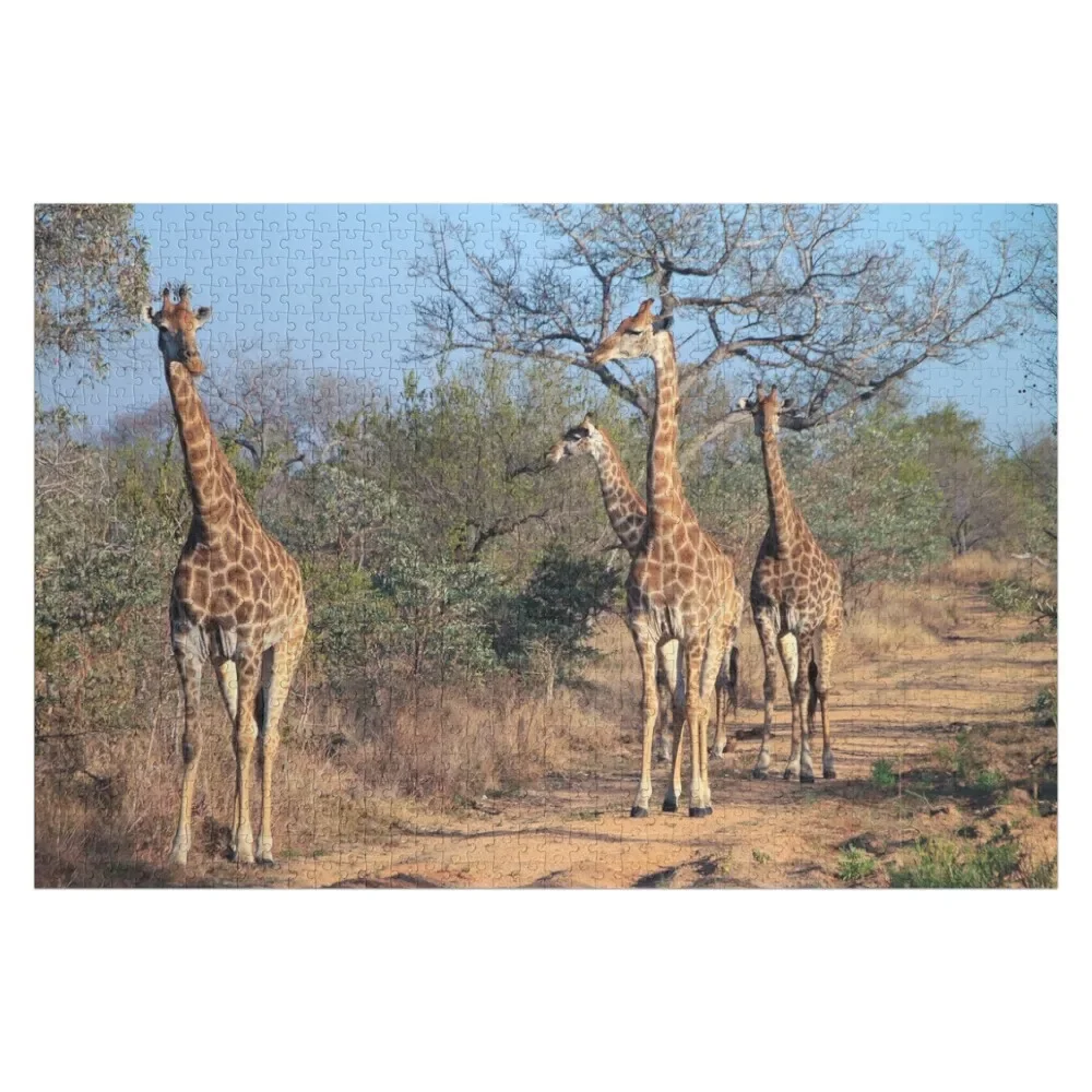 Four giraffes in the morning light Jigsaw Puzzle Personalized Child Gift Personalized Toy Puzzle
Four giraffes in the morning light Jigsaw Puzzle Personalized Child Gift Personalized Toy Puzzle