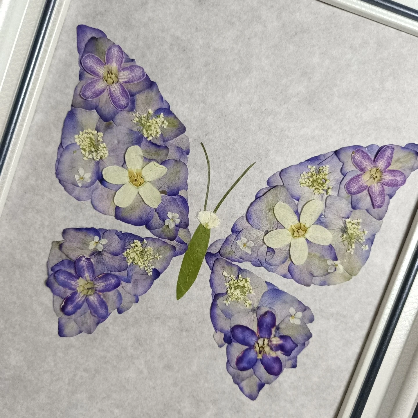 0058 Exquisite Butterfly Pressed Flower Art Framed Wall Decor with Purple Flower Wings and White Blossoms Natural Botanical Home
0058 Exquisite Butterfly Pressed Flower Art Framed Wall Decor with Purple Flower Wings and White Blossoms Natural Botanical Home