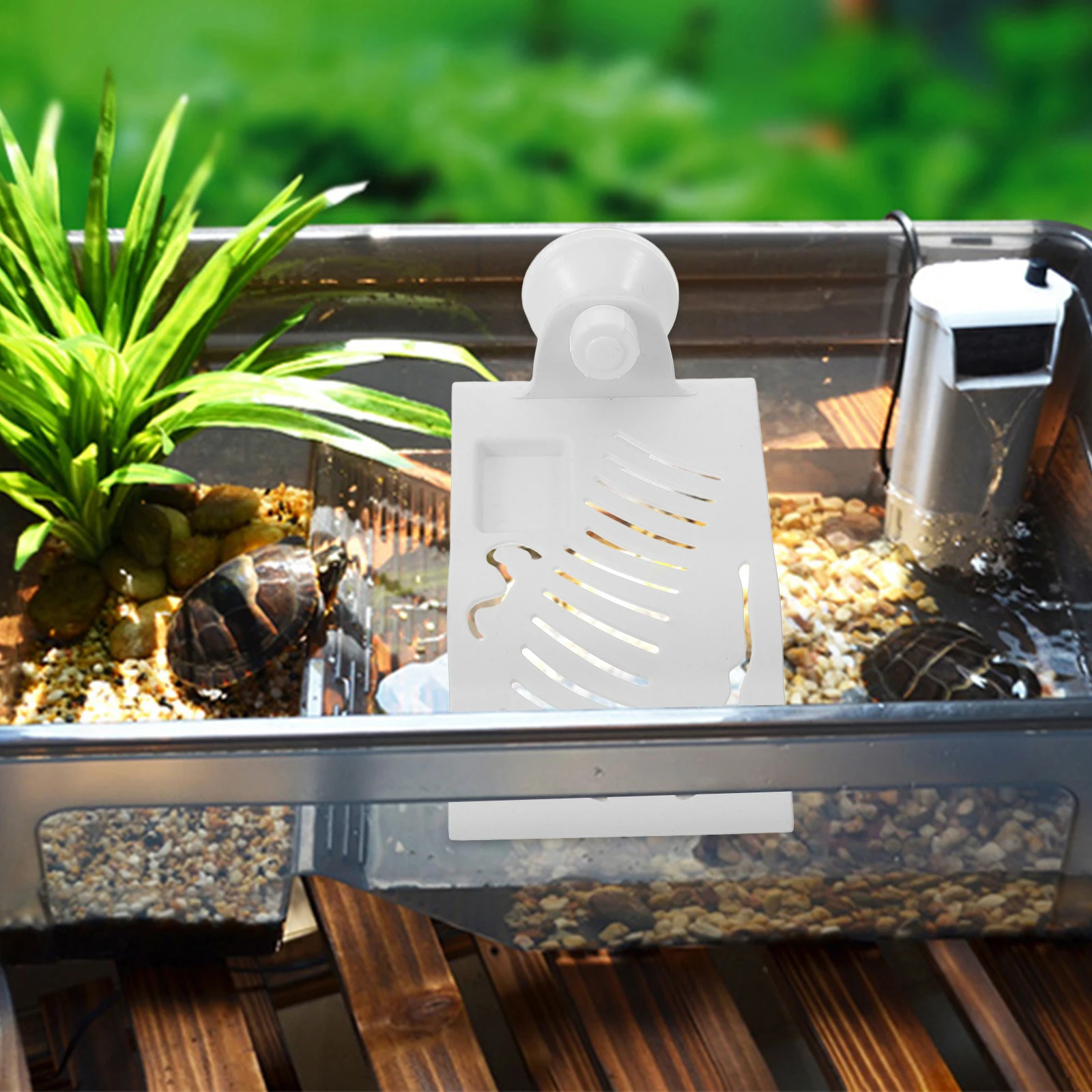 Turtle Basking Platform Suction Cup Floating Enhance Aesthetic Appeal Aquatic Pet Resting Floating Turtle Platform
Turtle Basking Platform Suction Cup Floating Enhance Aesthetic Appeal Aquatic Pet Resting Floating Turtle Platform