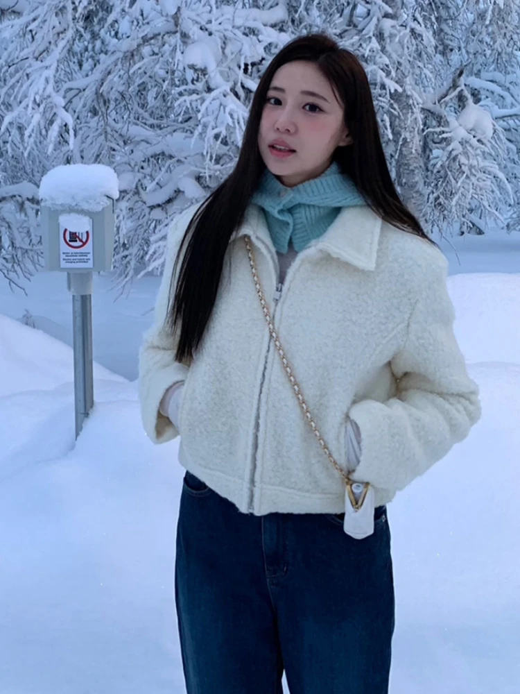 Весна 2026: Женская приталенная короткая куртка с воротником из искусственного меха ягненка, на молнии, универсальная, теплая, для повседневной носки
Весна 2026: Женская приталенная короткая куртка с воротником из искусственного меха ягненка, на молнии, универсальная, теплая, для повседневной носки