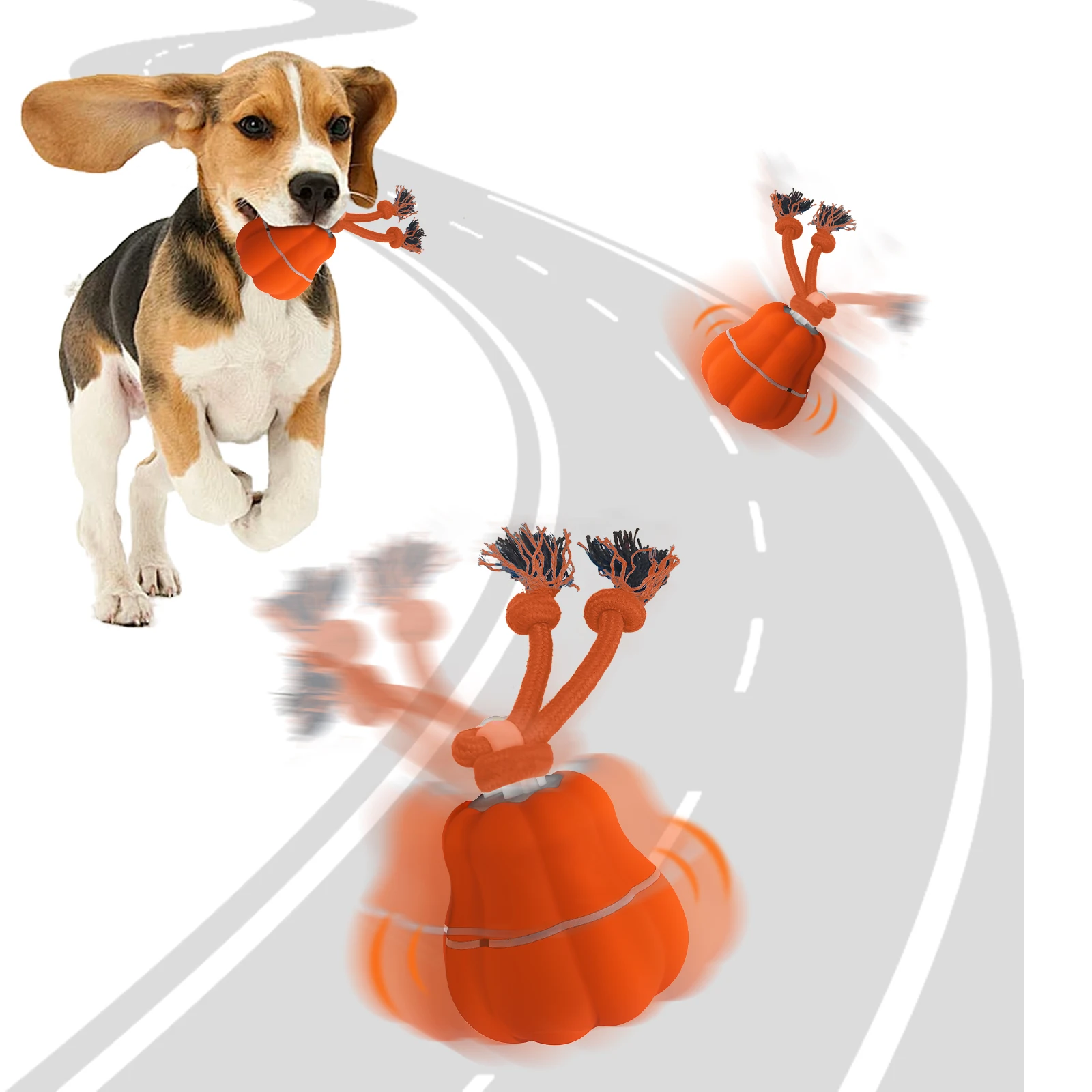 Automatic Dog Interactive Toy, Smart Training Ball for Playful Puppies
Automatic Dog Interactive Toy, Smart Training Ball for Playful Puppies
