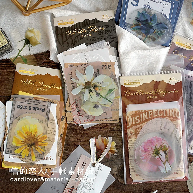 30 Pcs/Pack Bordeaux Manor Series Journal Material Pack, Vintage DIY Scenery Faux Floral Plant Collage Supplies
30 Pcs/Pack Bordeaux Manor Series Journal Material Pack, Vintage DIY Scenery Faux Floral Plant Collage Supplies
