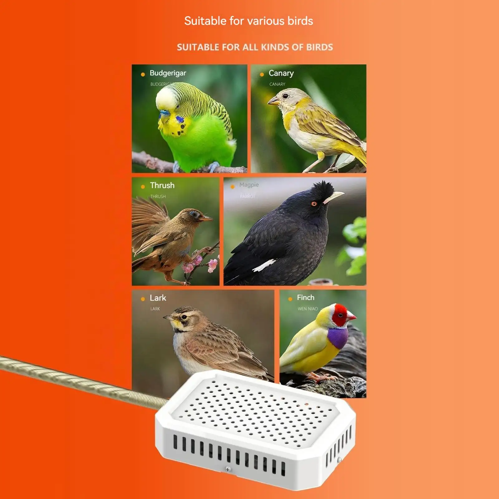 Bird Warmer Warming Thermostatic Chick Heater Cage Accessories For Winter Freezing Parakeet Parrot Lizard Nesting Outdoors Play
Bird Warmer Warming Thermostatic Chick Heater Cage Accessories For Winter Freezing Parakeet Parrot Lizard Nesting Outdoors Play