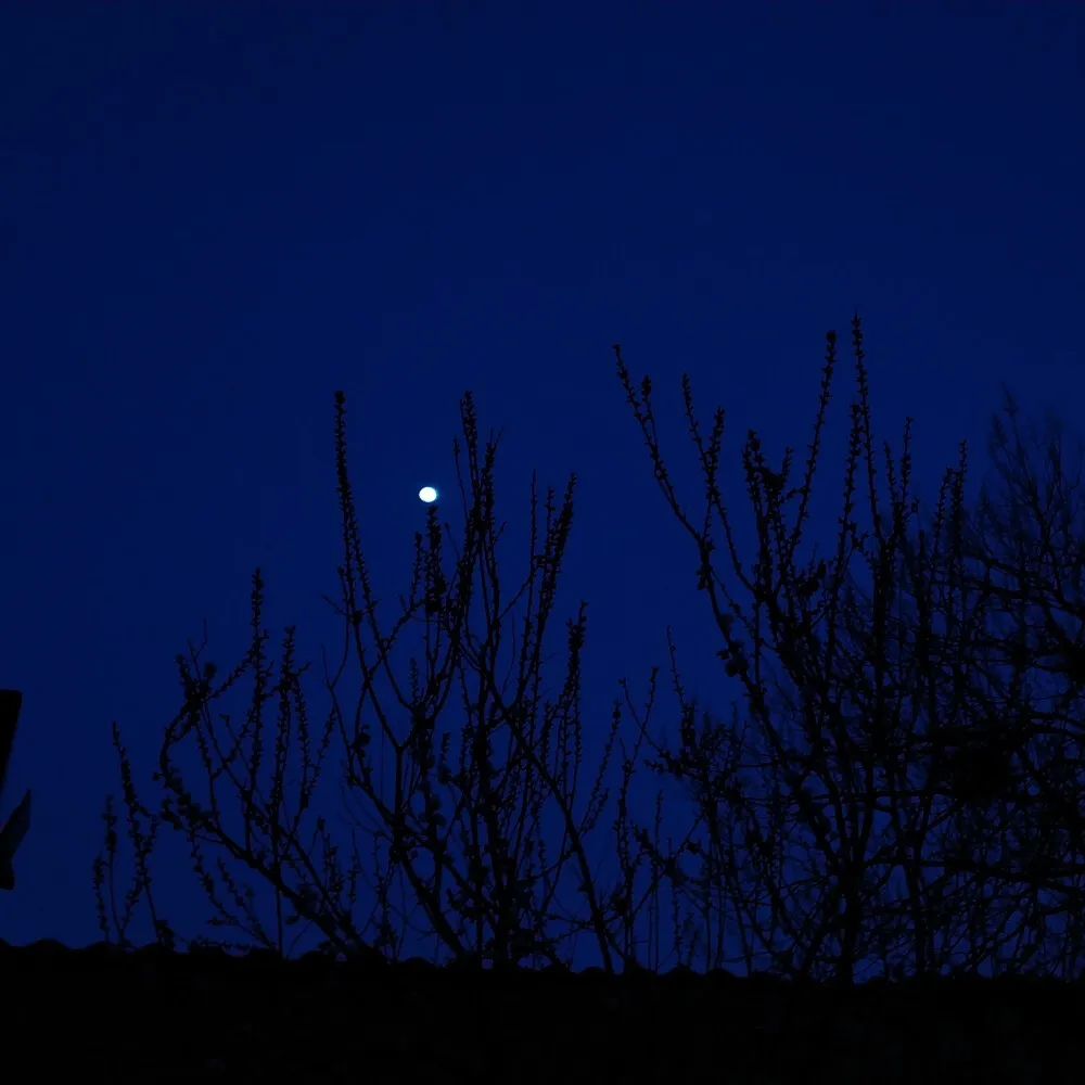 RC Car 4pcs 133mm 1/10 Monster Truck Tires Big Wheel 12mm Hex for Trxs HIMOTO HSP HPI Tamiya Kyosho Upgrade Parts
RC Car 4pcs 133mm 1/10 Monster Truck Tires Big Wheel 12mm Hex for Trxs HIMOTO HSP HPI Tamiya Kyosho Upgrade Parts