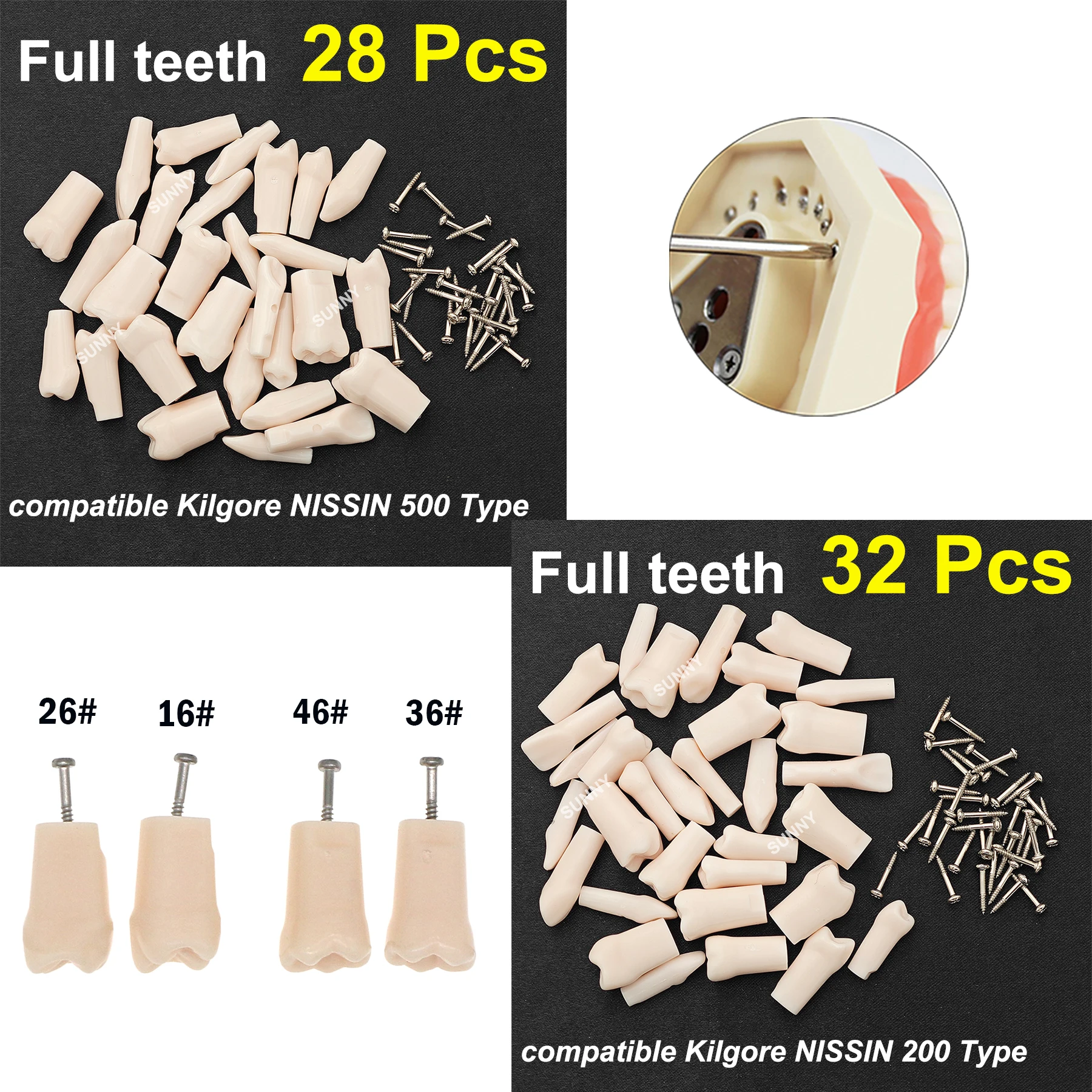 Dental Teeth Model Typodont Screw-in Replacement Teeth 28/32 Fit NISSIN 200/500 Type Dentistry Preparation Training Teaching
Dental Teeth Model Typodont Screw-in Replacement Teeth 28/32 Fit NISSIN 200/500 Type Dentistry Preparation Training Teaching