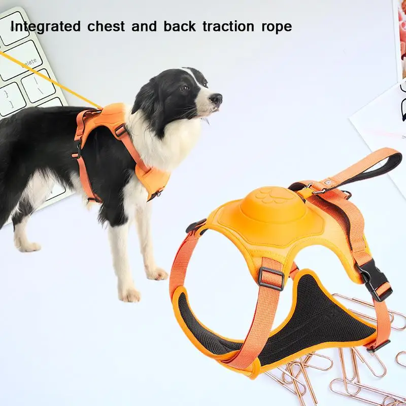 Ultimate Pet Supplies: The Revolutionary Automatic Retractable Chest Back Integrated Leash for Unparalleled Convenience and Saf
Ultimate Pet Supplies: The Revolutionary Automatic Retractable Chest Back Integrated Leash for Unparalleled Convenience and Saf