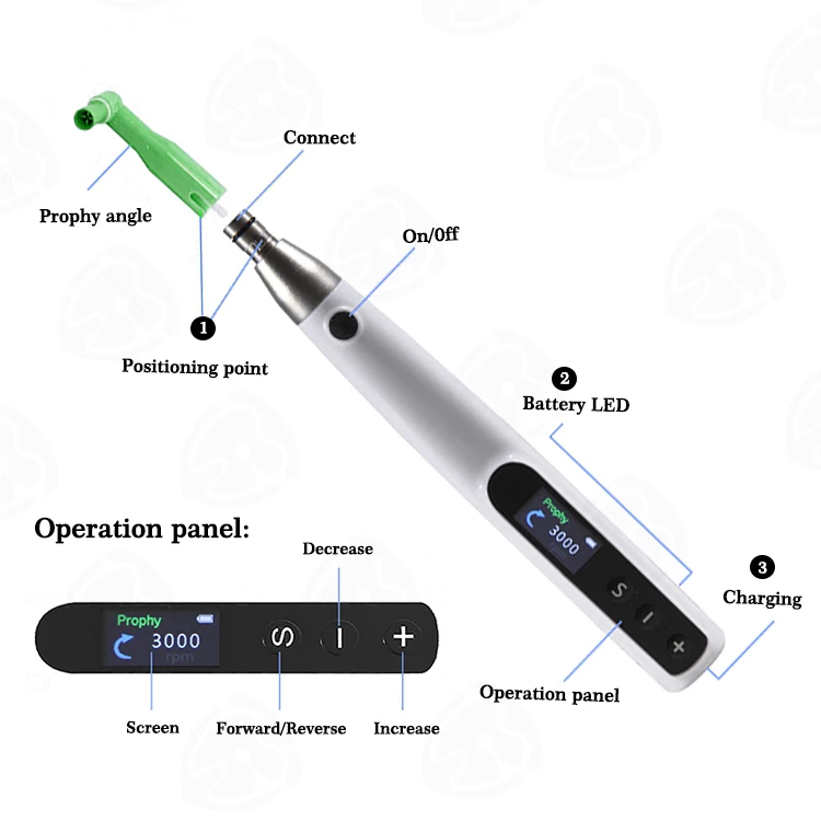 Hot Sale Electric Polishing Machine Adjustable Dental Cordless Hygiene Prophy Handpiece
Hot Sale Electric Polishing Machine Adjustable Dental Cordless Hygiene Prophy Handpiece