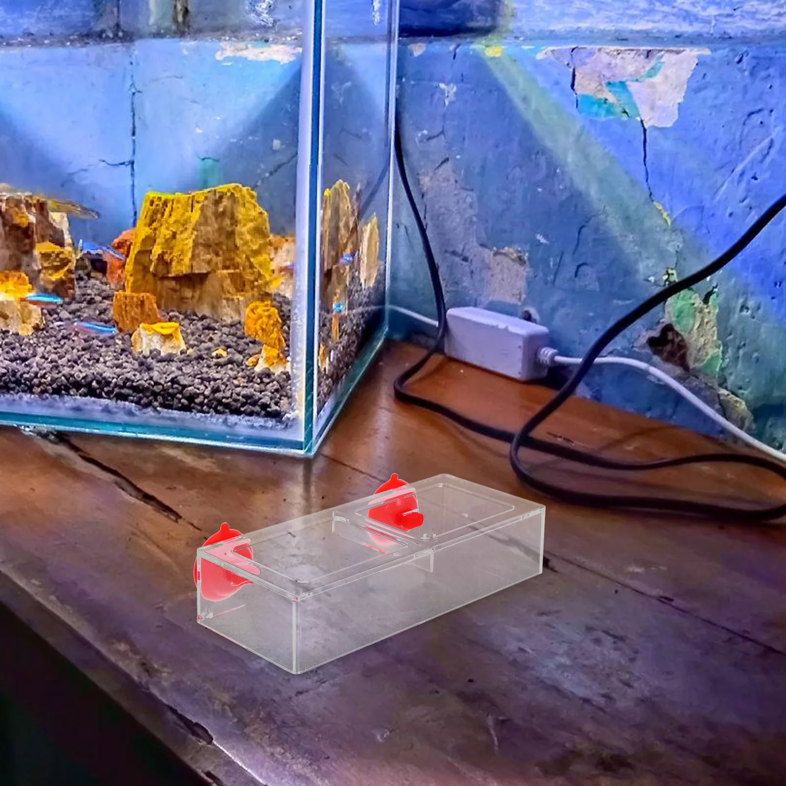 Fish Feeder for Aquarium Tank Feeding Ring with Suction Cup Large Capacity Clear Acrylic Food Dispenser for Goldfish Betta
Fish Feeder for Aquarium Tank Feeding Ring with Suction Cup Large Capacity Clear Acrylic Food Dispenser for Goldfish Betta