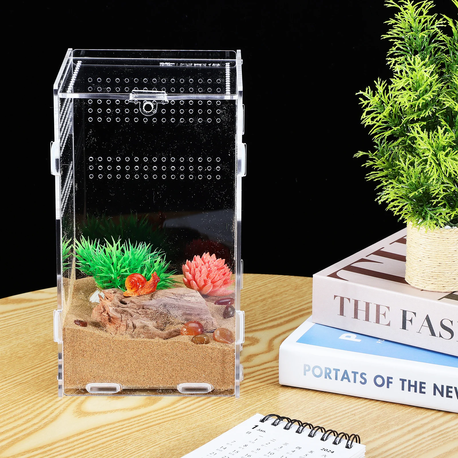 Tarantula Enclosure Spacious Clear Acrylic Reptile Feeding Box for Lizard Frog Snail Vertical Insect Terrarium Easy Setup
Tarantula Enclosure Spacious Clear Acrylic Reptile Feeding Box for Lizard Frog Snail Vertical Insect Terrarium Easy Setup