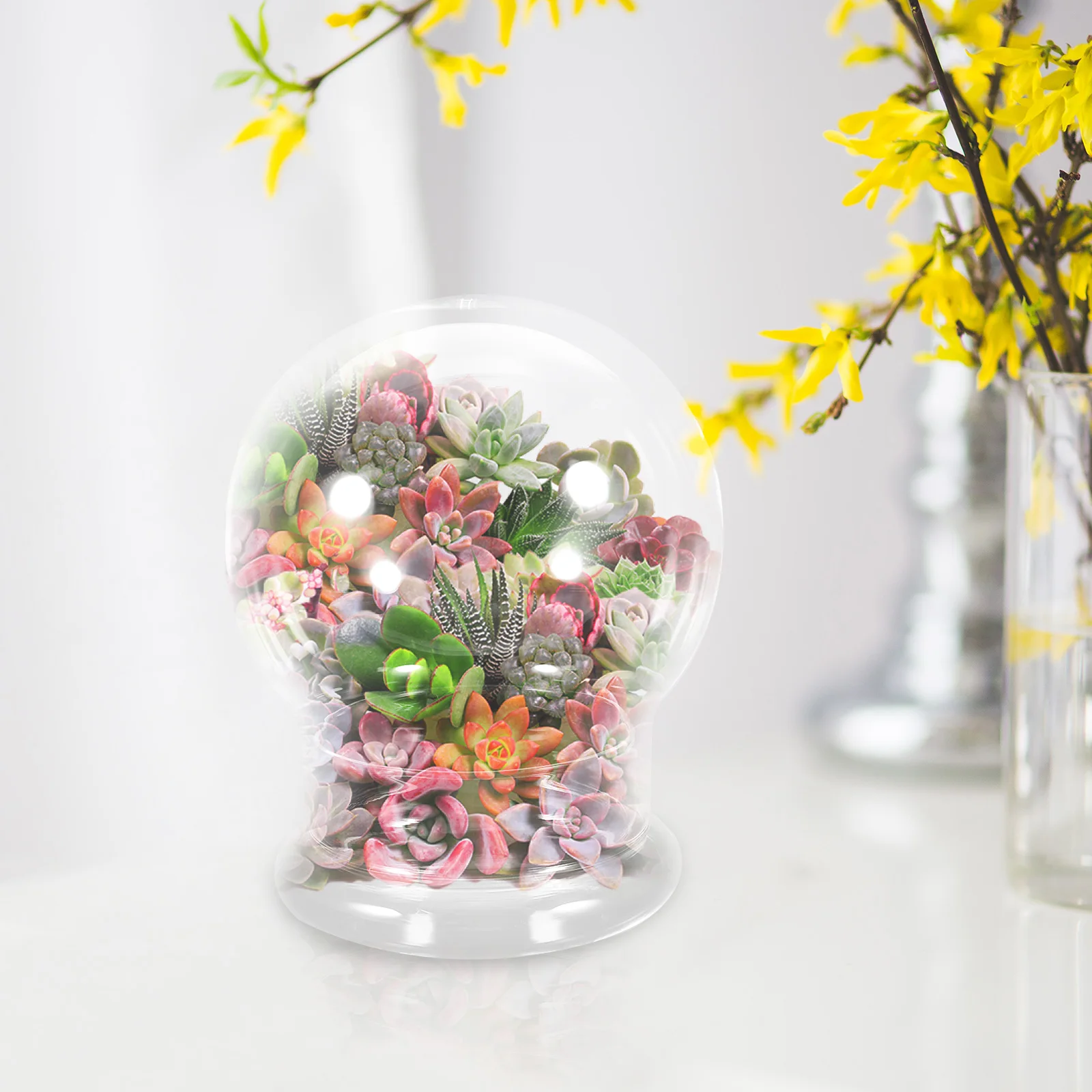 Ecological Bottle Moss Landscape Container Decorative Micro Landscaping Plant Flower Vase Diy Cloche Dome for Plants Glass
Ecological Bottle Moss Landscape Container Decorative Micro Landscaping Plant Flower Vase Diy Cloche Dome for Plants Glass
