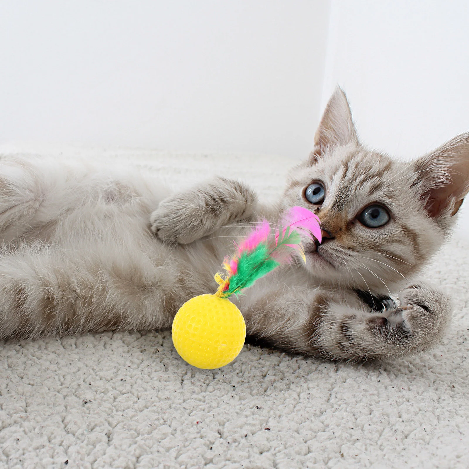 24 Pcs Cat Scratching Post Badminton Training Toy Interactive Toys Ball Feather Sky-blue
24 Pcs Cat Scratching Post Badminton Training Toy Interactive Toys Ball Feather Sky-blue