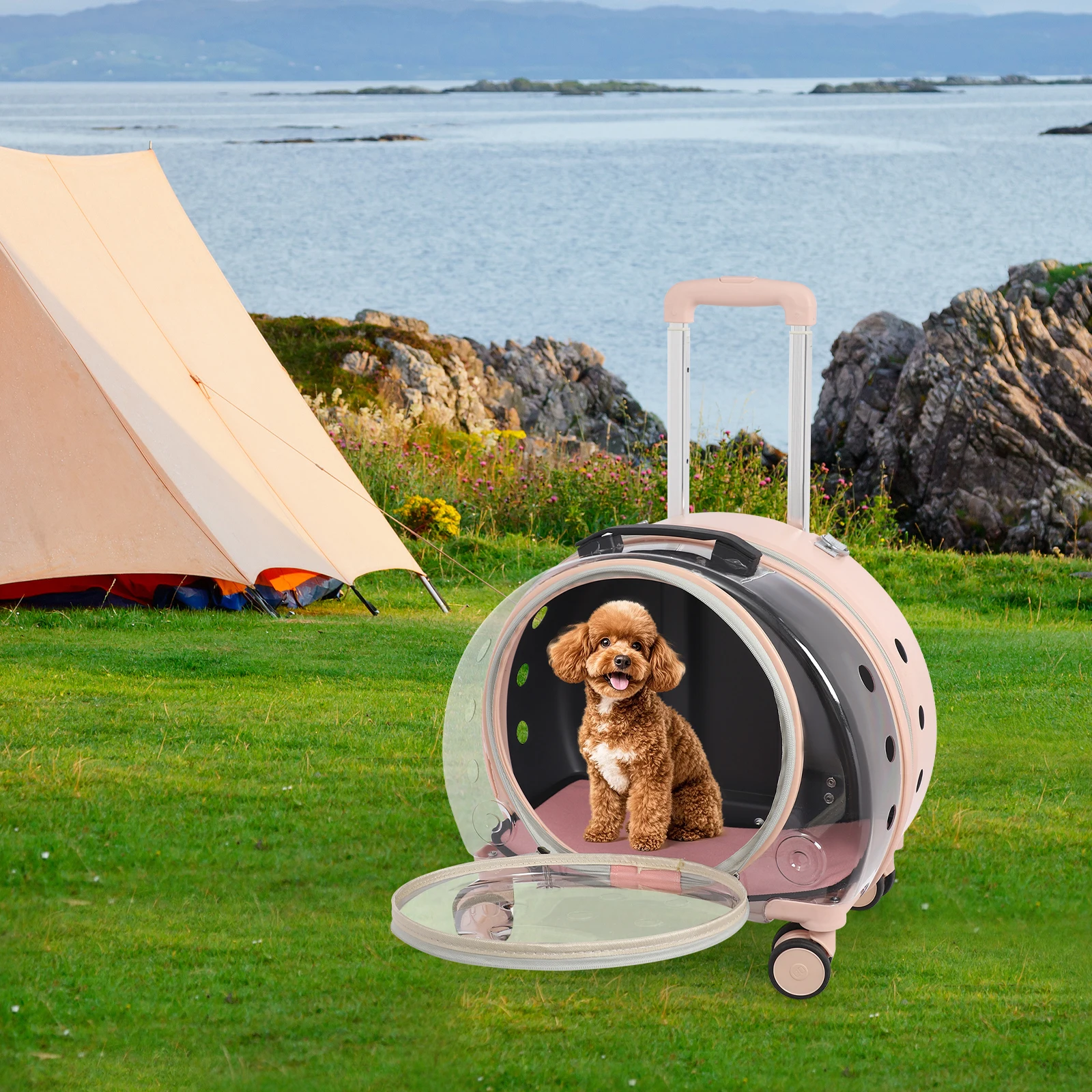 Переноска для домашних животных BulkHarbor с колесами, прозрачная и полностью дышащая жесткая переноска для кошек, несколько вариантов переноски
Переноска для домашних животных BulkHarbor с колесами, прозрачная и полностью дышащая жесткая переноска для кошек, несколько вариантов переноски