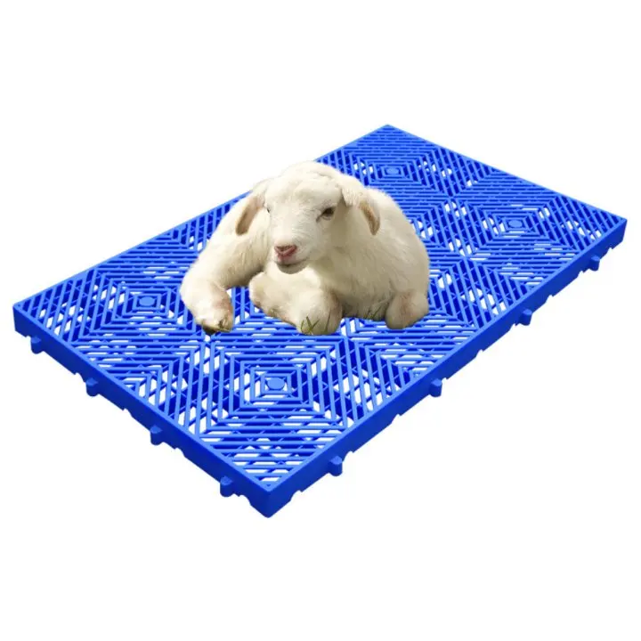 Custom Leakage Type Animal Floor Slat Floors Animal Husbandry Board For Chicken Sheep Goat Barn Farm
Custom Leakage Type Animal Floor Slat Floors Animal Husbandry Board For Chicken Sheep Goat Barn Farm