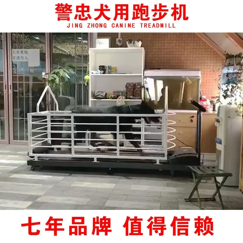Akita Canine Treadmill, Doberman Canine Treadmill, Golden Retriever Treadmill, Side Animal Treadmill, Dog Treadmill
Akita Canine Treadmill, Doberman Canine Treadmill, Golden Retriever Treadmill, Side Animal Treadmill, Dog Treadmill