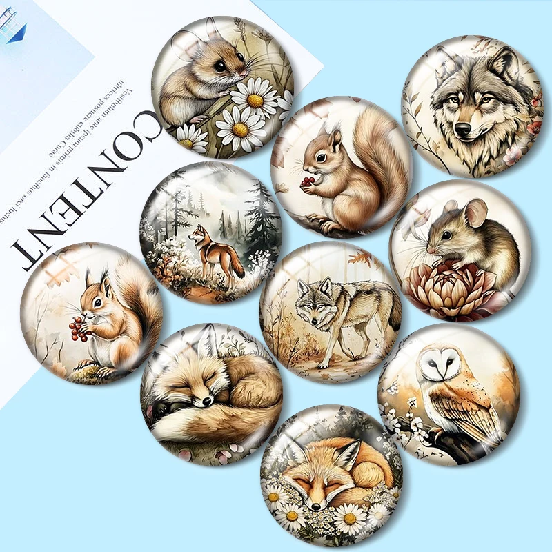 Woodland Animal Forest 12/18/20/25mm glass cabochon bracelet pendant rings for jewelry demo earrings back Making findings
Woodland Animal Forest 12/18/20/25mm glass cabochon bracelet pendant rings for jewelry demo earrings back Making findings