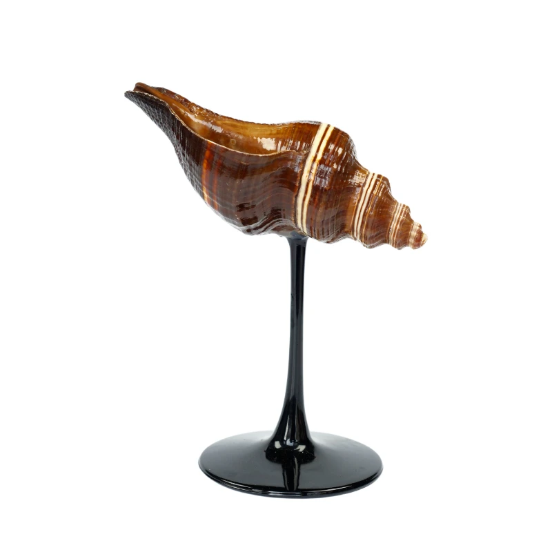 *Light luxury handmade creative personalized croissant conch cup goblet decorative ornament with hand gift
*Light luxury handmade creative personalized croissant conch cup goblet decorative ornament with hand gift