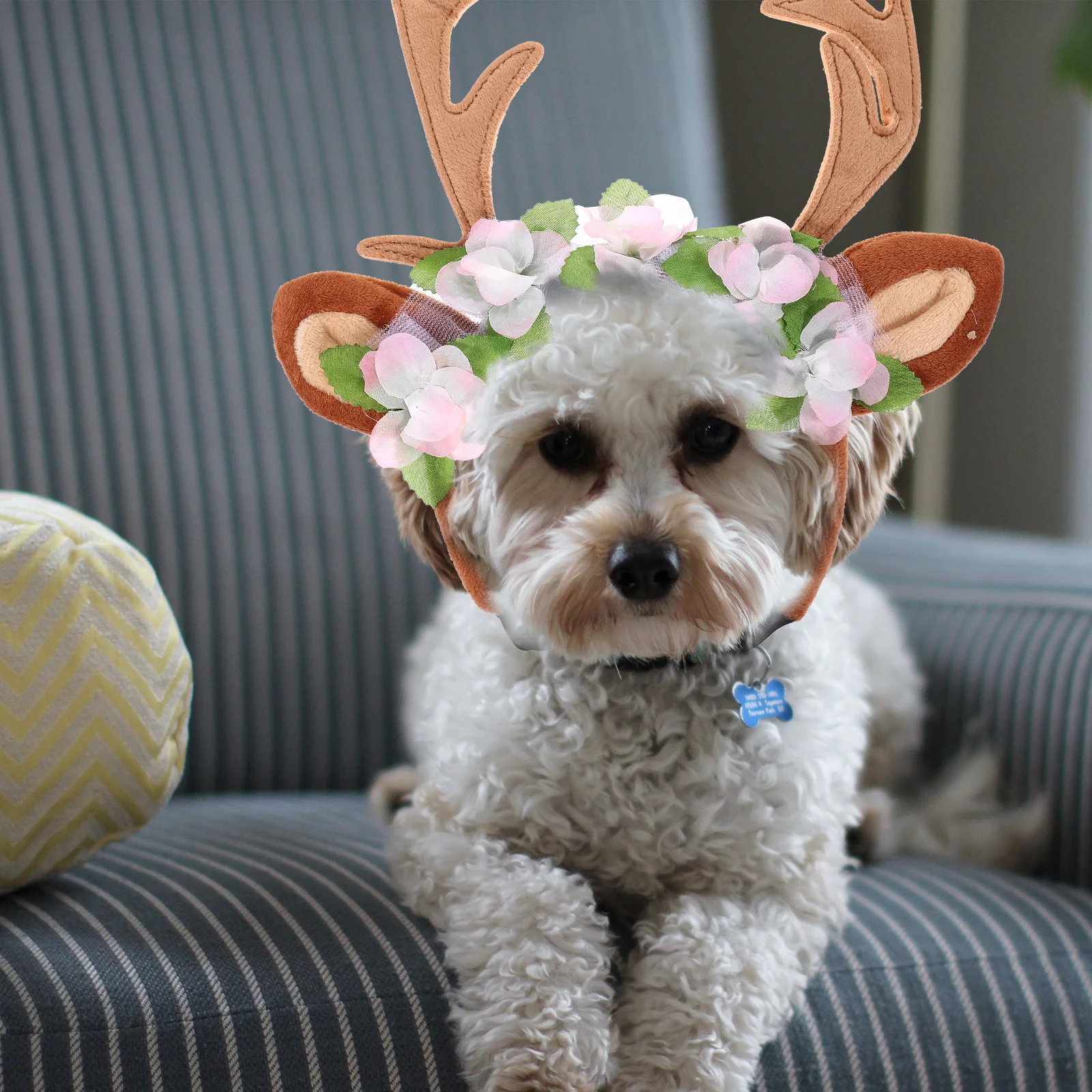 Christmas Pet Accessories Dog Hairpins Cat Antlers Headb S Pink Flower Party Costume Props Safe Practical Festivals Photo Shoots
Christmas Pet Accessories Dog Hairpins Cat Antlers Headb S Pink Flower Party Costume Props Safe Practical Festivals Photo Shoots
