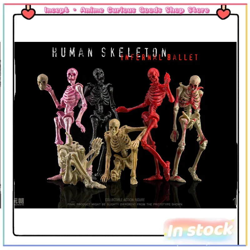 In Stock 1/12 Classroom Human Skeleton Skeleton Body Full Color Finished Joint Movable Figure Model Movable Doll Collection Gift
In Stock 1/12 Classroom Human Skeleton Skeleton Body Full Color Finished Joint Movable Figure Model Movable Doll Collection Gift