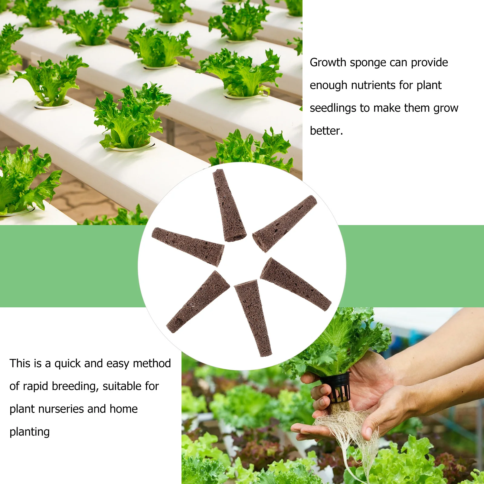 50Pcs Hydroponic Grow Sponge Soft Breathable Growth Sponge for Indoor Garden Hydroponic Plant Growing Plugs with High Water
50Pcs Hydroponic Grow Sponge Soft Breathable Growth Sponge for Indoor Garden Hydroponic Plant Growing Plugs with High Water