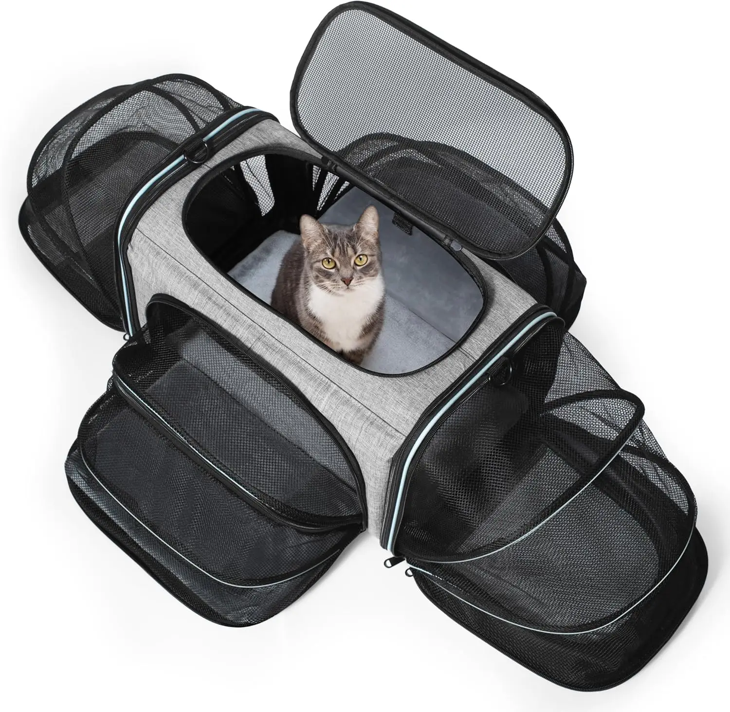 Cat Carrier,4 Sided Expandable Pet Carrier for Travel,Collapsible Soft-Sided Carriers with Removable Fleece Pad and Shoulder
Cat Carrier,4 Sided Expandable Pet Carrier for Travel,Collapsible Soft-Sided Carriers with Removable Fleece Pad and Shoulder