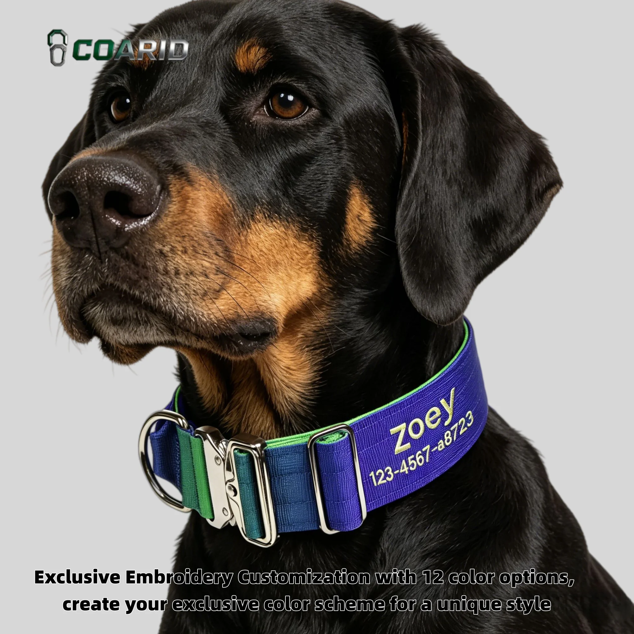 Personalized Gradient Dog Collar, Custom Name & Number Engraved Heavy Duty Knitted Collar for Medium Large Dogs
Personalized Gradient Dog Collar, Custom Name & Number Engraved Heavy Duty Knitted Collar for Medium Large Dogs