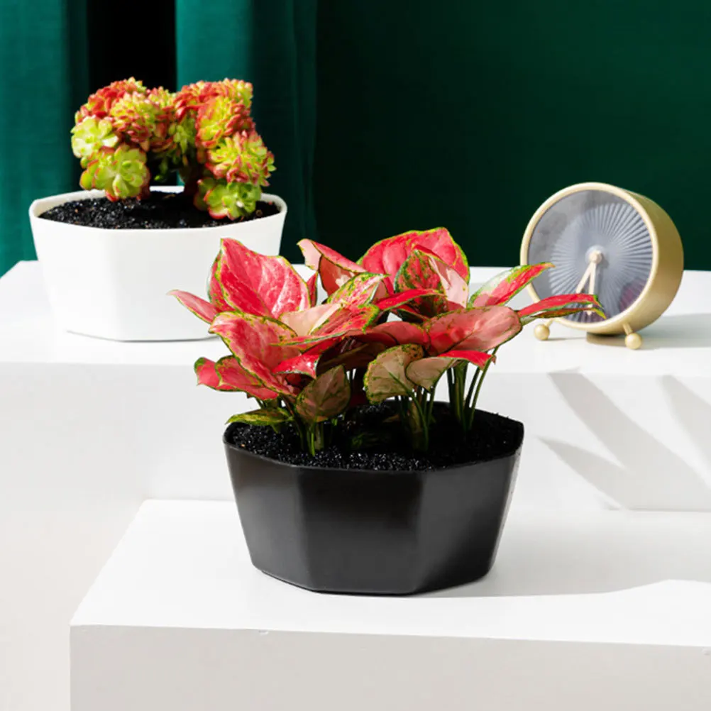 2Pcs Modern Flowerpot Thickened Plastic Material Mini Bonsai Flowerpot for Succulent Plant Decor Home Office Tabletop Decoration
2Pcs Modern Flowerpot Thickened Plastic Material Mini Bonsai Flowerpot for Succulent Plant Decor Home Office Tabletop Decoration