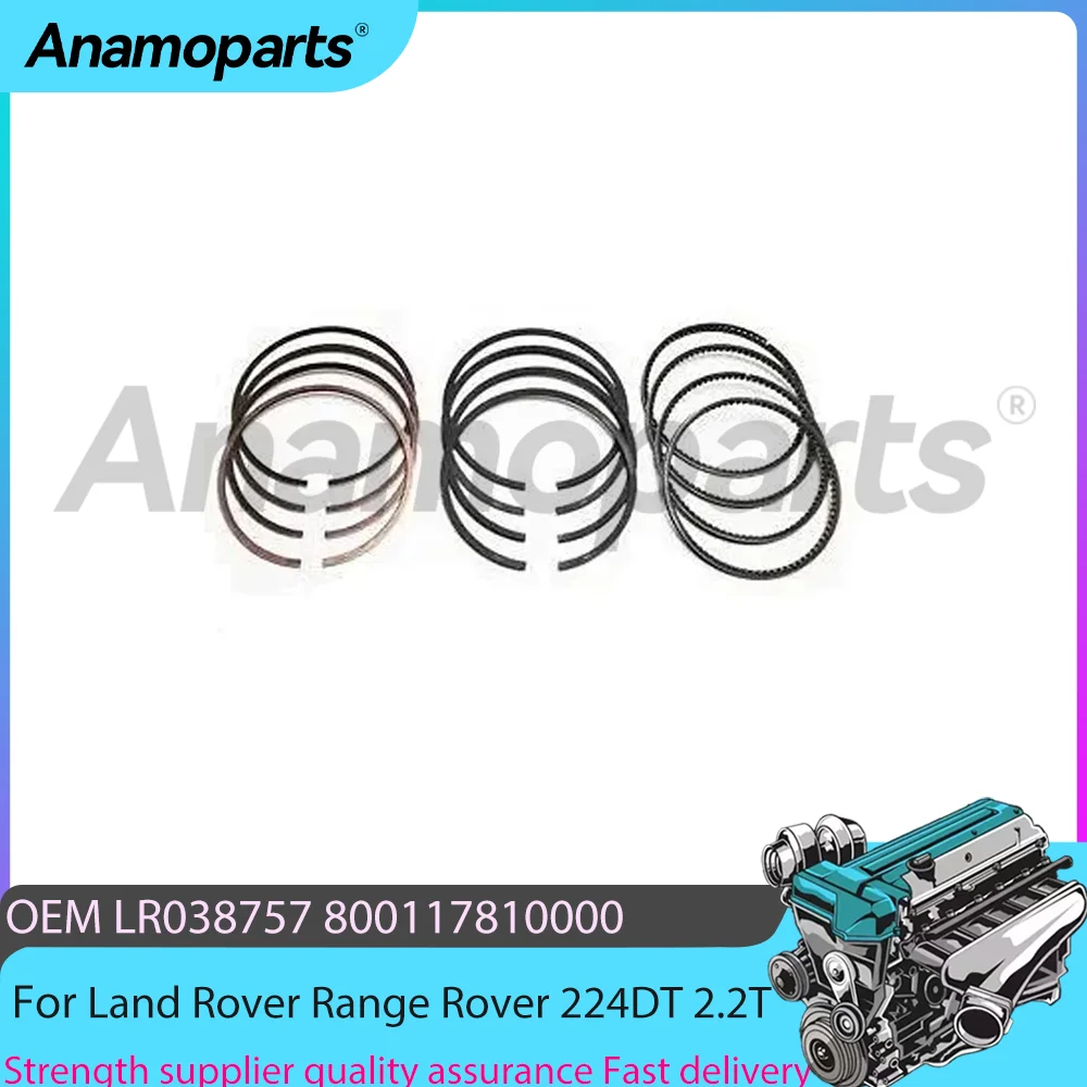Engine Parts Piston Ring Set STD Fit 2.2T L4 Diesel For Land Rover Range Rover Evoque Jaguar XF 224DT 2.2T LR038757 2006-2014
Engine Parts Piston Ring Set STD Fit 2.2T L4 Diesel For Land Rover Range Rover Evoque Jaguar XF 224DT 2.2T LR038757 2006-2014